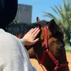 daniafarhat4 - @daniafarhat4 - TikTok