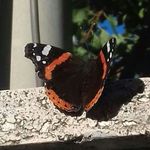 dania ferro - @ferrodania3 - Instagram