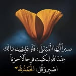 Dania Haider Al-Rubaie - @daniahaideralrubaie - Instagram