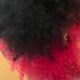 Dania Harris - Facebook