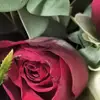 دانية خطيب - @dania.alkhatib - TikTok