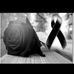 Dania Lizardo - Facebook