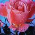 Dania Marquez - Facebook