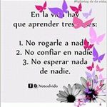Dania Medrano Novoa - @daniamedranonovoa - Instagram