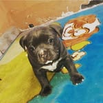 daniapuga - @dani.apuga - Instagram