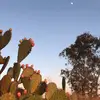 Dania Reyes - @dania.reyes619 - TikTok