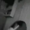 Danica Smith - @danica.smith03 - TikTok