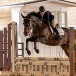 Danica Smith 🐴 Horse Training & Sales - @equestrian.danica - Instagram