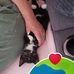 Danica Watson - Facebook