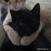 Danika Watson - Facebook