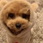 Daniel Aaron - Facebook
