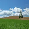 abercrombiedaniel - @abercrombiedaniel - TikTok