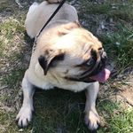 Daniel Abercrombie - @daniel.abercrombie.5621 - Instagram