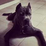 Daniel - @daniel_aguanno - Instagram