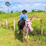 @daniel_aguiar - @pedrodaniel_aguiar442 - Instagram