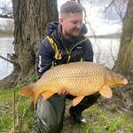 Daniel Aigner - @beautycarp_dani - Instagram