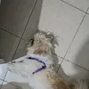 דניאל מחזיר עוקבים בכיף😜😉✅️ - @daniel_aking395 - TikTok