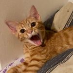 Daniel Albright - @daniel.albright.94 - Instagram