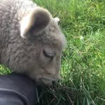 Daniel Alcock - @alcock3910 - Instagram