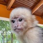 Daniel Aleman - @daniel_aleman635 - Instagram