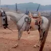 Daniel Aleman - @daniel.aleman80 - TikTok