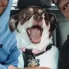 Danielle - @daniellealexis_ - TikTok