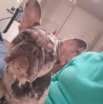 Daniel Alfieri - Facebook
