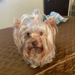 Daniela Lituma - @daniela_lituma - Instagram