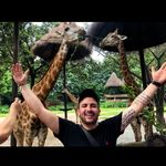 Daniel Aljure - @aljuredaniel - Instagram