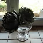 Daniel Allain - @dan.all.37 - Instagram