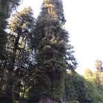 Daniel Allard - @daniel.allard.566 - Instagram