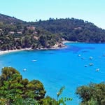 Daniel Allard - @daniel.allard.56829 - Instagram