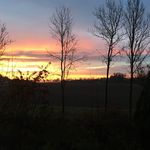 Daniel Allerstorfer - @danielallerstorfer - Instagram