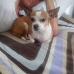 Daniel Walling - @daniel.walling.56 - Instagram