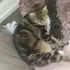 Daniel - @danielcallingham - TikTok
