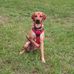 Daniel Allmendinger - Facebook
