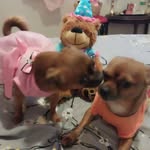 Daniel Martinez Almodovar - @danielmartinezalmodovar - Instagram