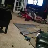 danielalmon603 - @danielalmon603 - TikTok