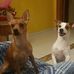 Daniela Loi - Facebook