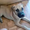 Daniela Alongi - @danielaalongi3 - TikTok