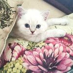 Daniel Altendorf - @danielaltendorf - Instagram