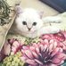 Daniel Altendorf - Facebook