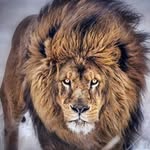 @daniel_alto_adige - Instagram
