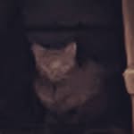 Daniel Altobello - @daniel.altobello - Instagram