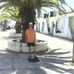 Daniel Altpeter - Facebook