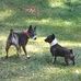 Daniel Alumbaugh - Facebook