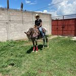 Daniel Alva - @fransisco_daniel_alva - Instagram