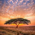 Daniel Alvares - Facebook