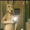 Daniel Alvares - @daniel.alvares458 - TikTok