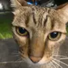 Danielaa.mann - @danielaa.mann - TikTok